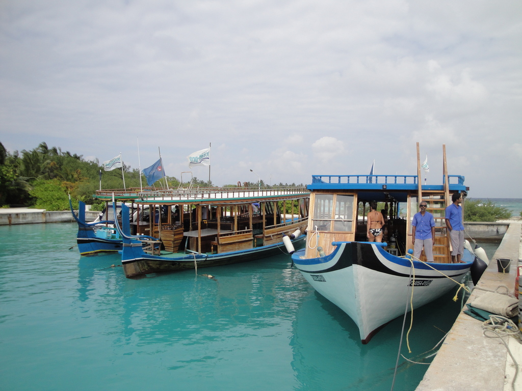 DSC00980.JPG