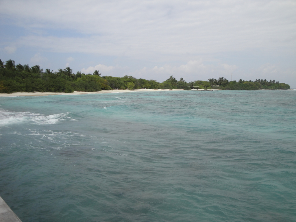 DSC00984.JPG