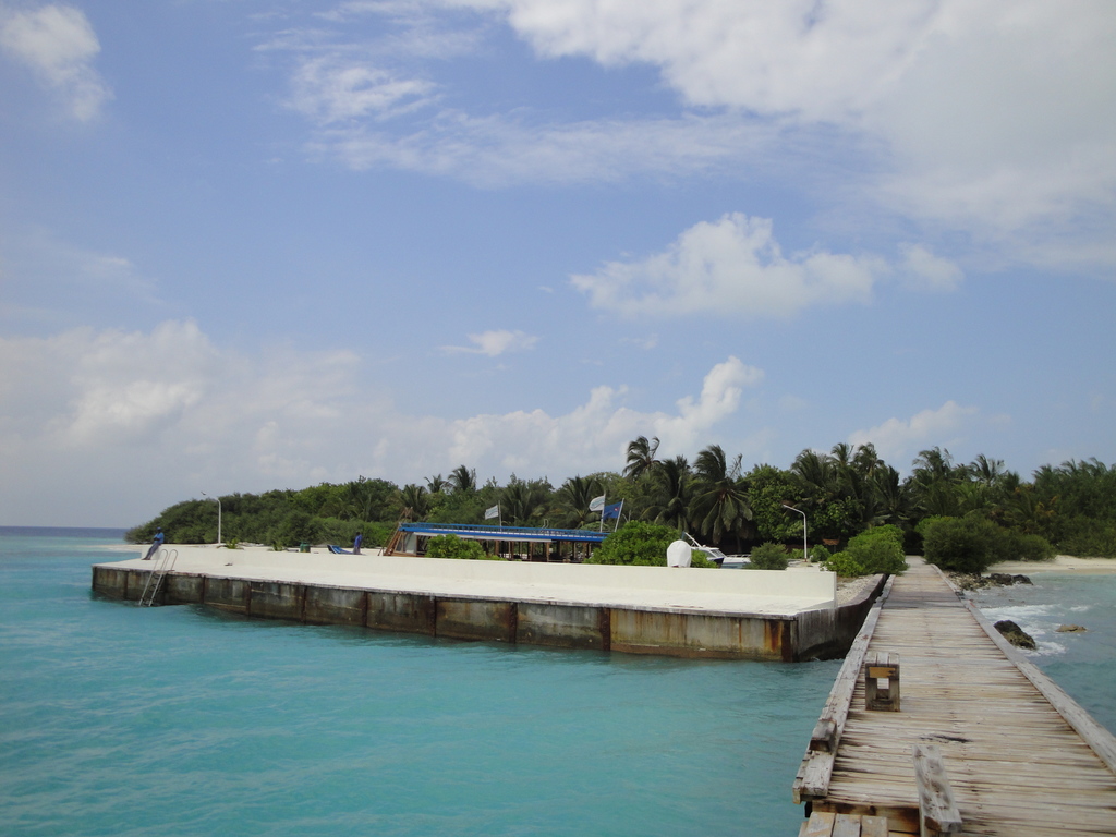 DSC00985.JPG