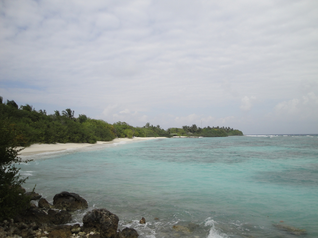 DSC00987.JPG
