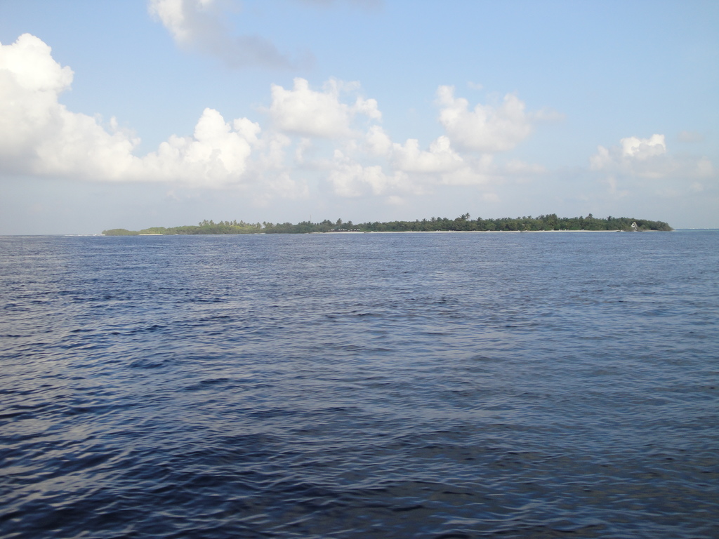 DSC00989.JPG