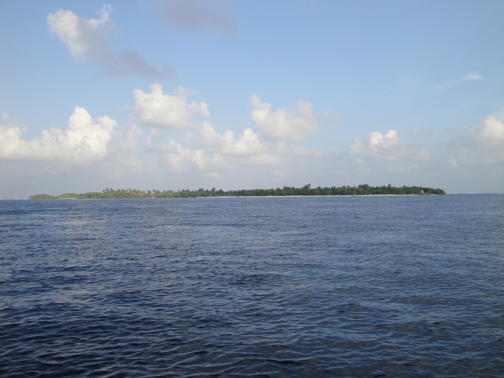 DSC00990.JPG