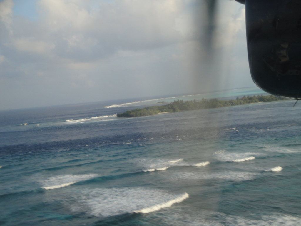 DSC00994.JPG
