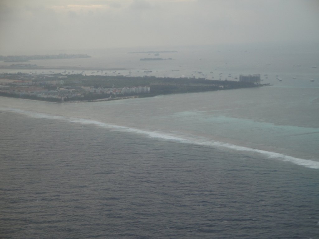 DSC01000.JPG