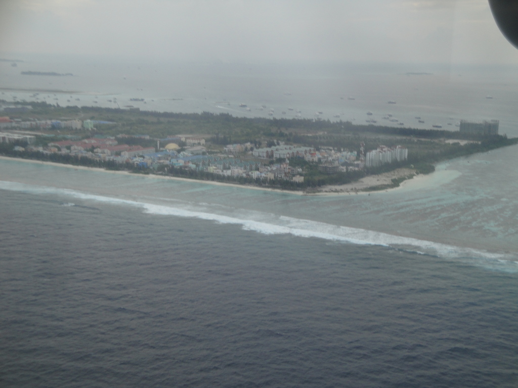 DSC01001.JPG
