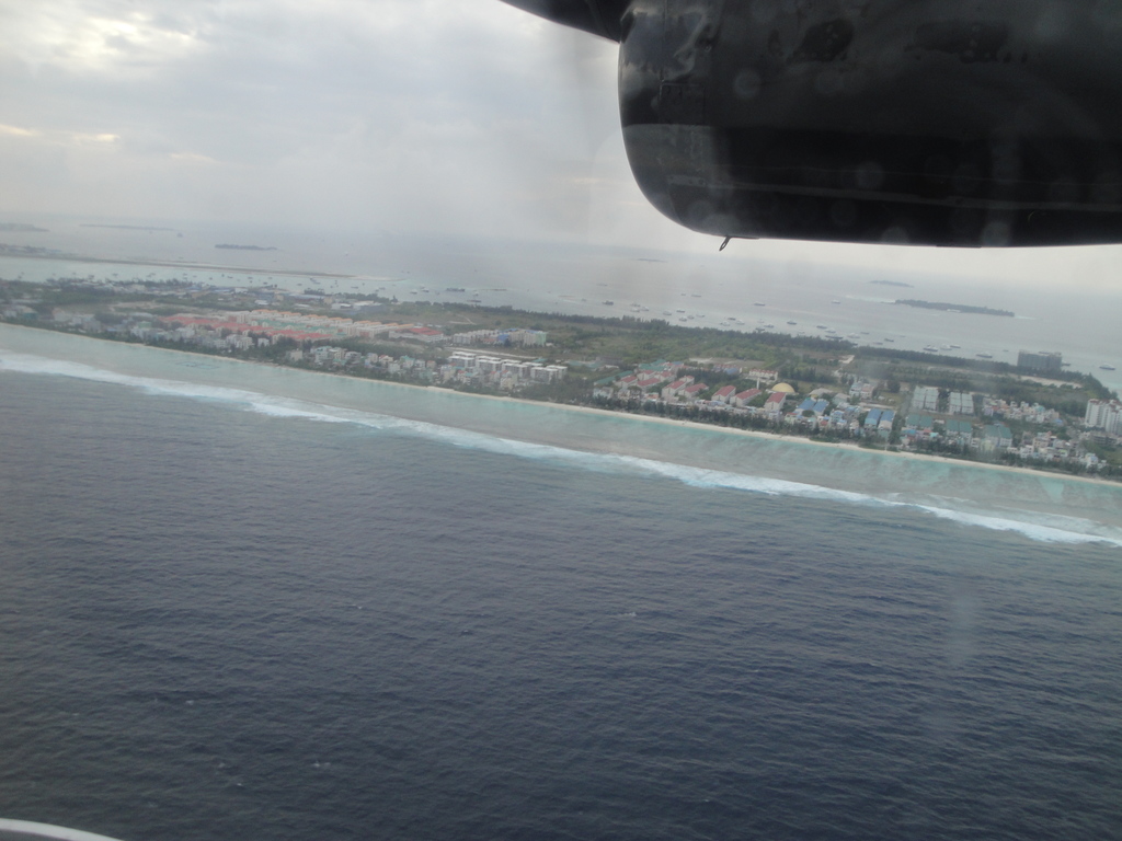 DSC01002.JPG