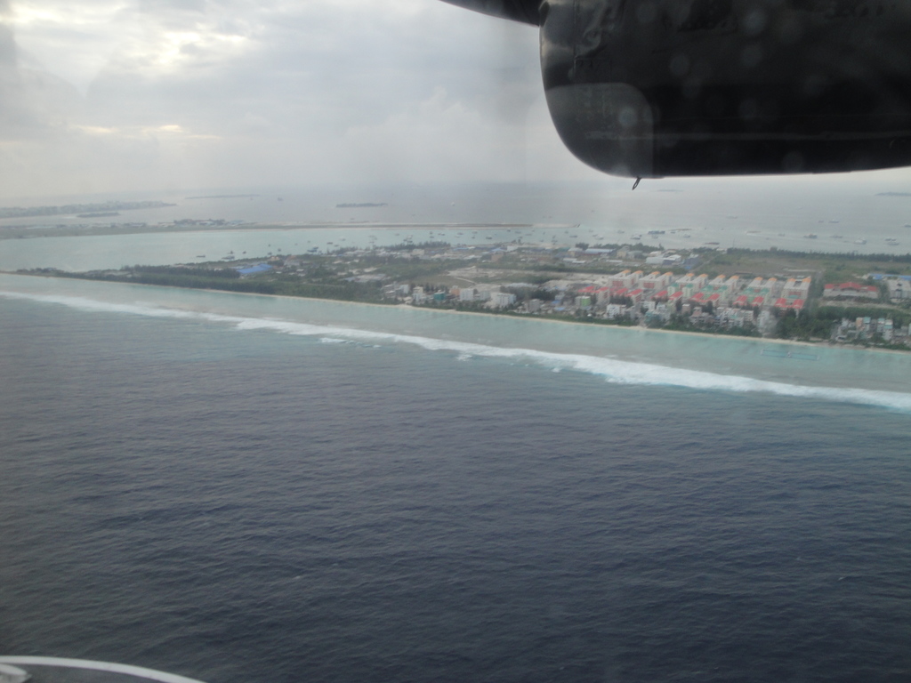 DSC01003.JPG