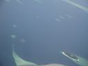Filename=DSC00013.JPG
Filesize=183KiB
Dimensions=1024x768
Date added=Aug 05, 2014 DSC00013.JPG