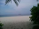 Filename=DSC00034-5.JPG
Filesize=226KiB
Dimensions=1024x768
Date added=Aug 05, 2014 DSC00034-5.JPG