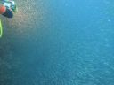 Filename=DSC00037.JPG
Filesize=339KiB
Dimensions=1024x768
Date added=Aug 05, 2014 DSC00037.JPG