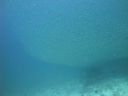 DSC00043.JPG