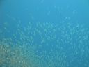 DSC00051.JPG