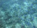 DSC00066.JPG