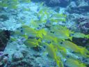 DSC00068.JPG