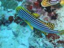 DSC00072.JPG
