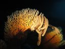 DSC00076.JPG
