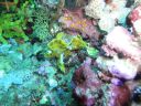 DSC00088.JPG