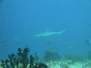 DSC00301.JPG