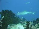 DSC00315.JPG