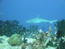 DSC00316.JPG