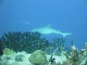 DSC00318.JPG