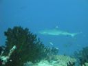 DSC00322.JPG