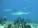 DSC00324.JPG
