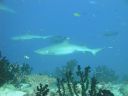 DSC00325.JPG