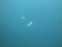 DSC00331.JPG