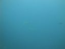 DSC00332.JPG
