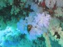 DSC00337.JPG