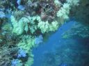 DSC00339.JPG