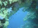 DSC00340.JPG