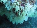 DSC00342.JPG