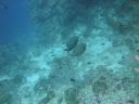 DSC00344.JPG
