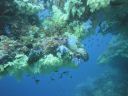 DSC00345.JPG