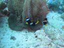 DSC00350.JPG