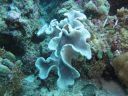 DSC00356.JPG