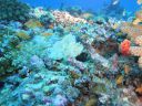 DSC00358.JPG