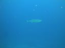 DSC00540.JPG