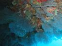 DSC00543.JPG