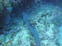 DSC00549.JPG