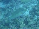 DSC00554.JPG