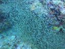 DSC00555.JPG