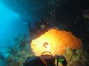 DSC00562.JPG