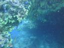 DSC00566.JPG
