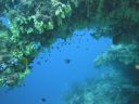 DSC00567.JPG