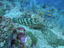 DSC00570.JPG