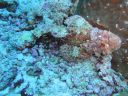 DSC00575.JPG