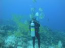 DSC00583.JPG